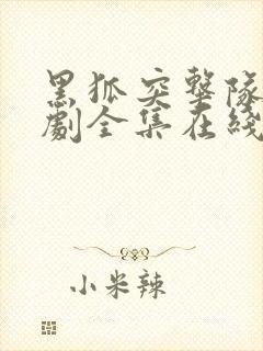 黑狐突击队电视剧全集在线云播放封面