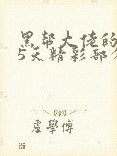 黑帮大佬的365天精彩部分