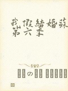 我假结婚苏清月第六季封面