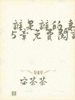 谁是谁的妻第15章免费阅读笔趣阁