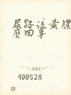 尿路流黄脓是怎么回事