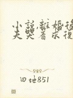 小说,离婚后前夫哭着求复婚