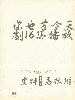 你也有今天电视剧16集播放免费观看