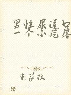 男性尿道口长了一个小疙瘩是怎么回事