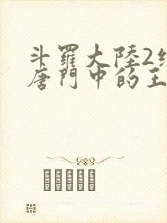斗罗大陆2绝世唐门中的王冬封面