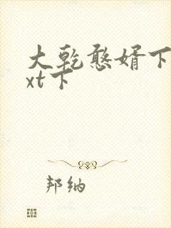 大乾憨婿下载txt下