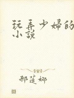 玩弄少妇的悲哀小说