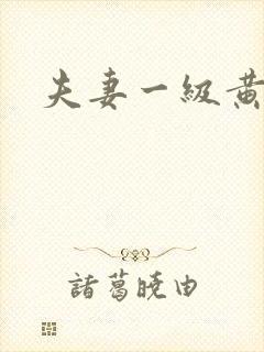 夫妻一级黄色片