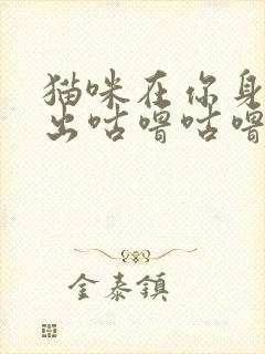 猫咪在你身边发出咕噜咕噜的声音