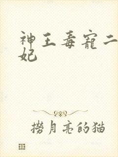 神王毒宠二嫁王妃