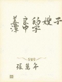 善良的嫂子李采潭中字封面