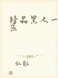 精品黑人一区二区