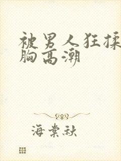 被男人狂揉吃奶胸高潮