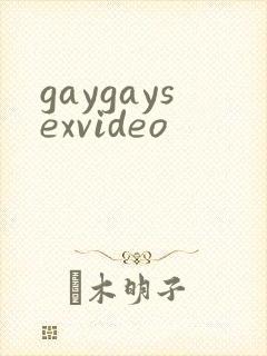 gaygaysexvideo