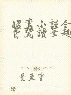 昭鸾小说全文免费阅读笔趣阁