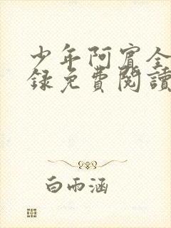 少年阿宾全集目录免费阅读