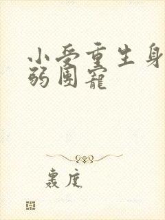 小受重生身体病弱团宠