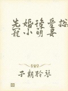 先婚后爱总裁蜜宠小萌妻