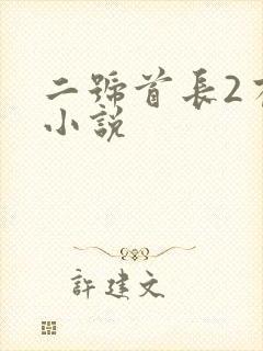 二号首长2有声小说