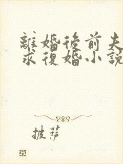 离婚后前夫哭着求复婚小说