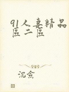 91人妻精品一区二区