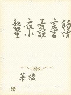 熬夜看完的高质量小说言情