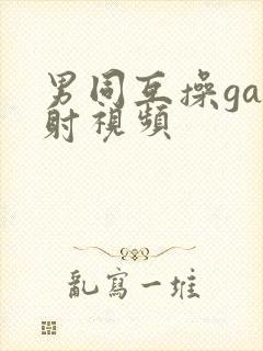 男同互操gay射视频