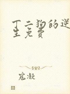 丁二狗的逆袭人生免费