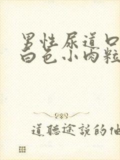 男性尿道口边有白色小肉粒