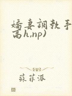 娇妻调教手册(高h,np)