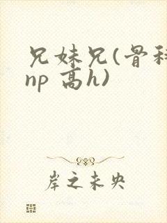 兄妹兄(骨科 np 高h)