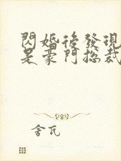 闪婚后发现老公是豪门总裁原著作者