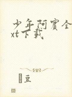 少年阿宾全文txt下载