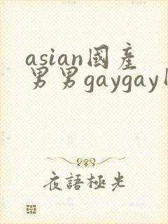 asian国产男男gaygay网站