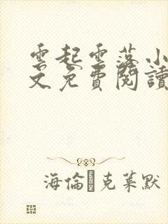 云起云落小说全文免费阅读封面