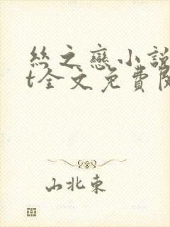 丝之恋小说txt全文免费阅读