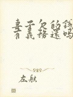 妻子欠的钱丈夫有义务还吗封面