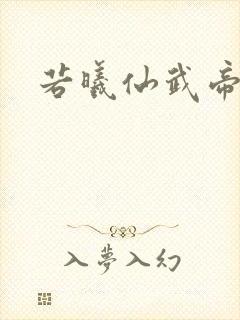 若曦仙武帝尊封面