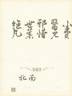 绝世邪医小说林凡叶惜免费阅读全文