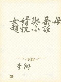 女婿与岳母陈超赵悦小说封面