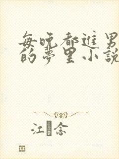 每晚都进男神们的梦里小说封面