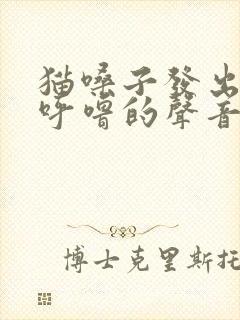 猫嗓子发出呼噜呼噜的声音