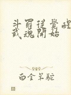 斗罗从觉醒朱雀武魂开始