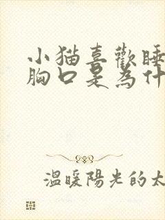 小猫喜欢睡主人胸口是为什么