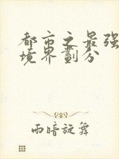 都市之最强狂兵境界划分封面