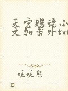 天官赐福小说全文加番外txt