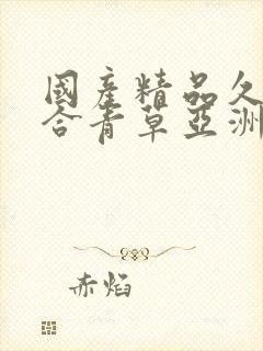 国产精品久久综合青草亚洲av