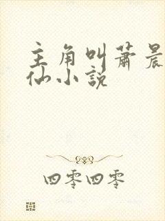 主角叫萧晨的修仙小说