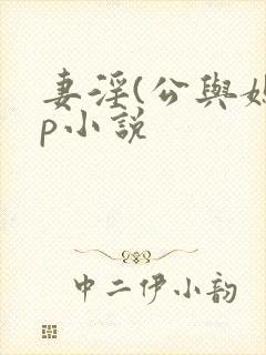 妻淫(公与媳3p小说