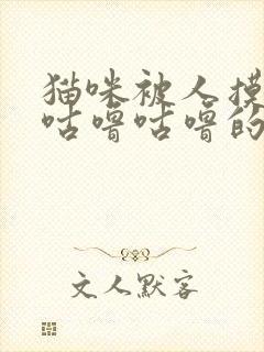 猫咪被人摸发出咕噜咕噜的声音